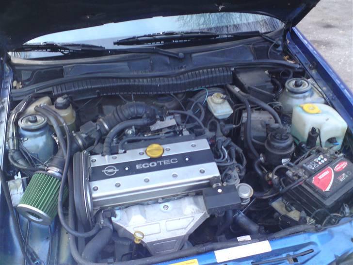 Opel Calibra Young Edi. SOLGT! billede 11