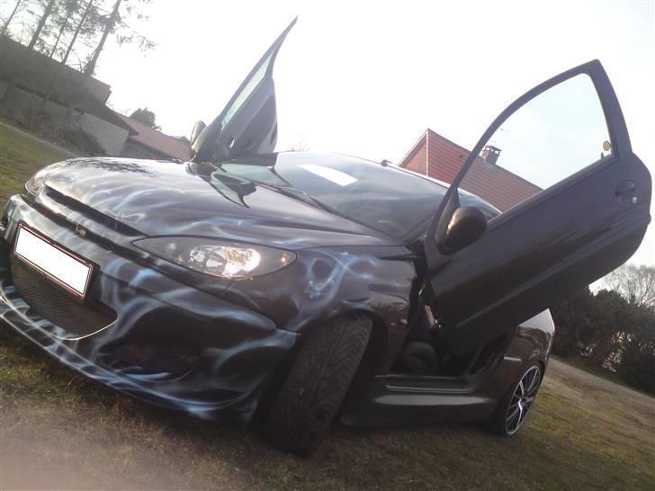 Peugeot 206 //Airbrush// SOLGT.:( billede 12