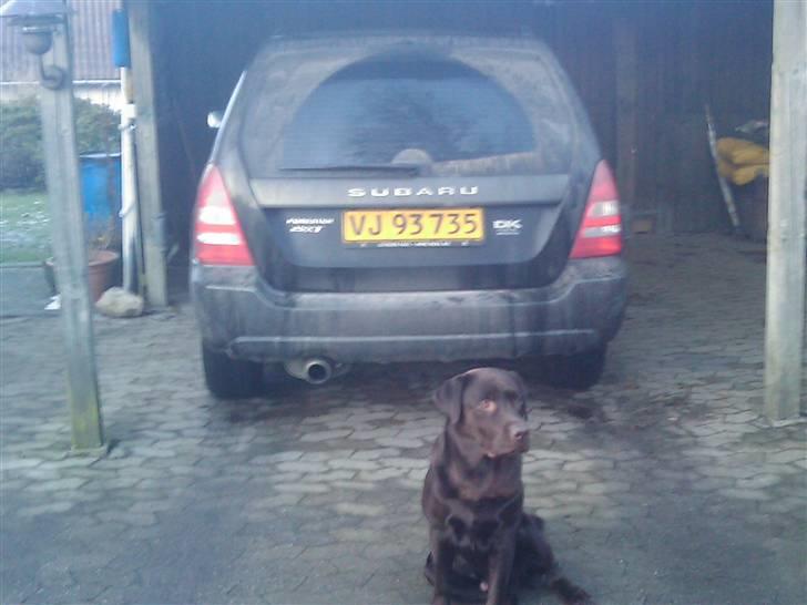 Subaru forester 2,5 XT R.I.P. billede 13