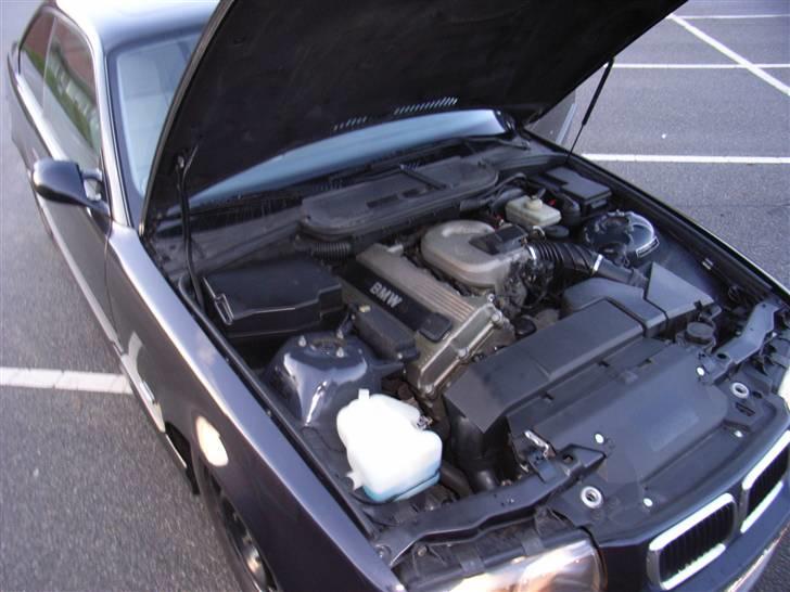 BMW 318 is Coupe -SOLGT- billede 12