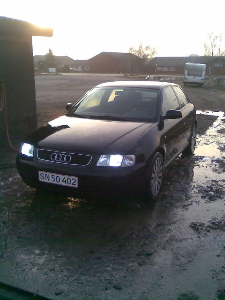 Audi A3 -Solgt billede 15