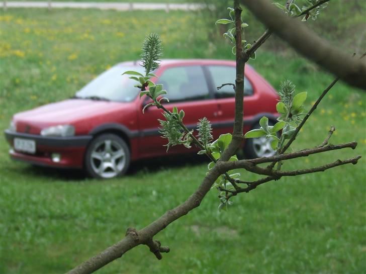 Peugeot 106 1,6 XSI  - solgt :( - Taget d. 29 april 2009 billede 11