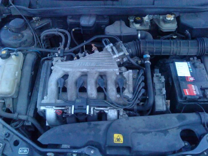 Fiat Bravo billede 10