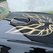 Pontiac trans-am Bandit