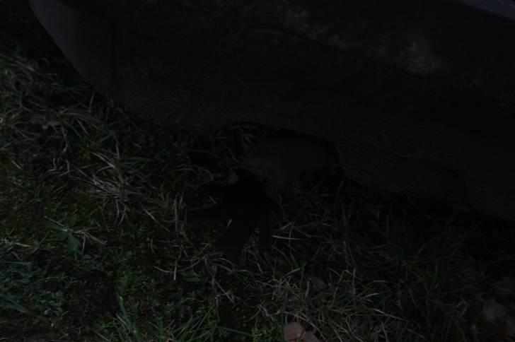 VW Golf "retro" billede 7