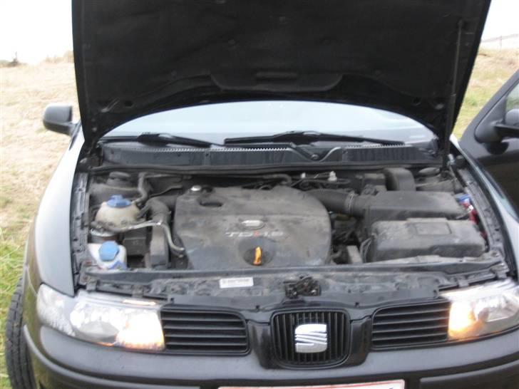 Seat Leon 1,9 Tdi *solgt* - Ja en maskinrums vask er nok det næste på programmet ;-) billede 12