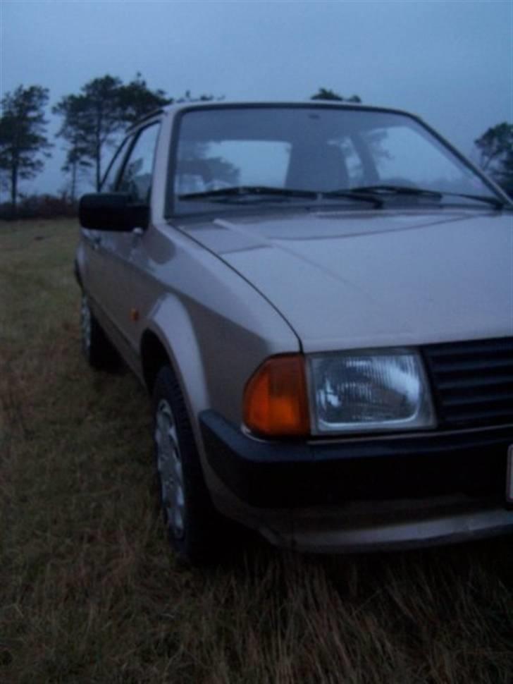 Ford Escort billede 3