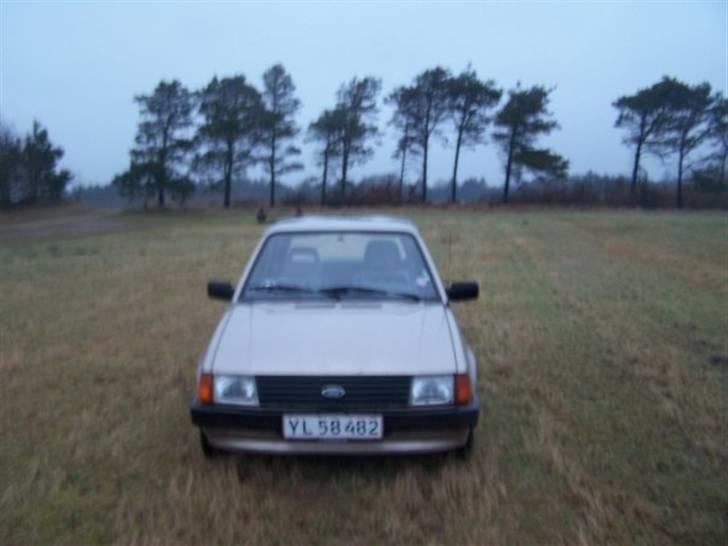 Ford Escort billede 5