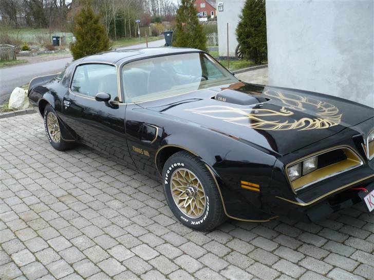 Pontiac trans-am Bandit - NICE THING billede 1