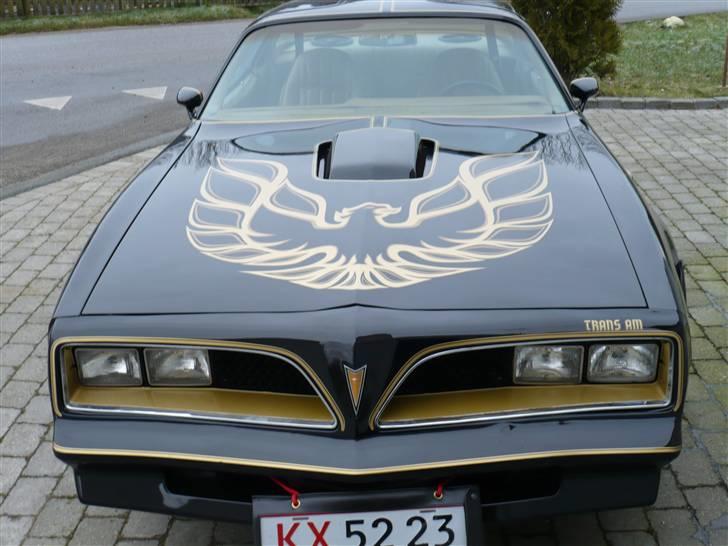 Pontiac trans-am Bandit - OG JO BILEN ER OG BLIVER MIN billede 2