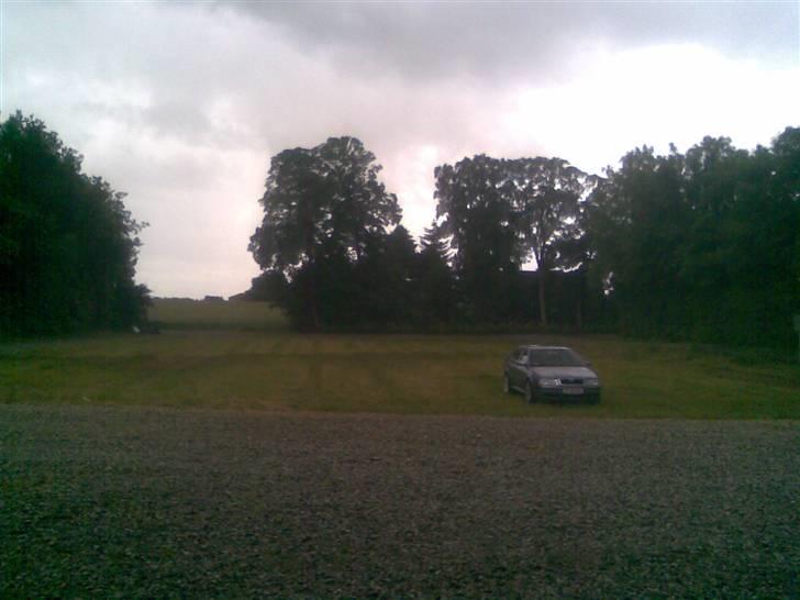 Skoda Octavia billede 18