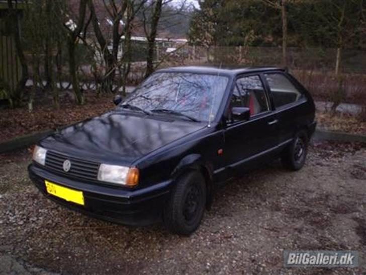 VW polo diesel (tøffe) - da jeg lige havde hentede dem hjem billede 3