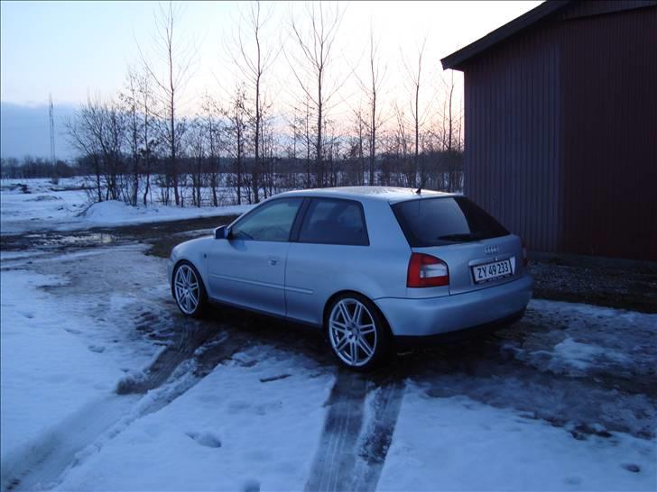 Audi A3 TDI billede 5