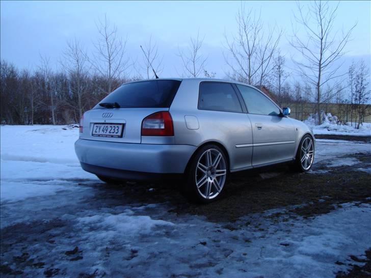 Audi A3 TDI billede 6