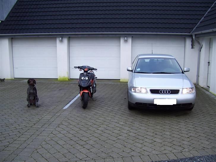 Audi A3 1,9 tdi billede 1