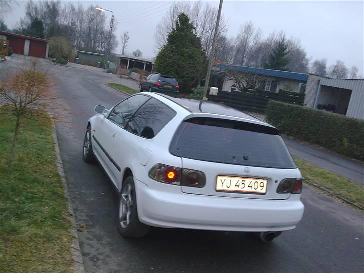 Honda Civic (SOLGT) billede 6