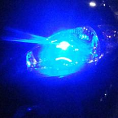 Chevrolet Lacetti Sport