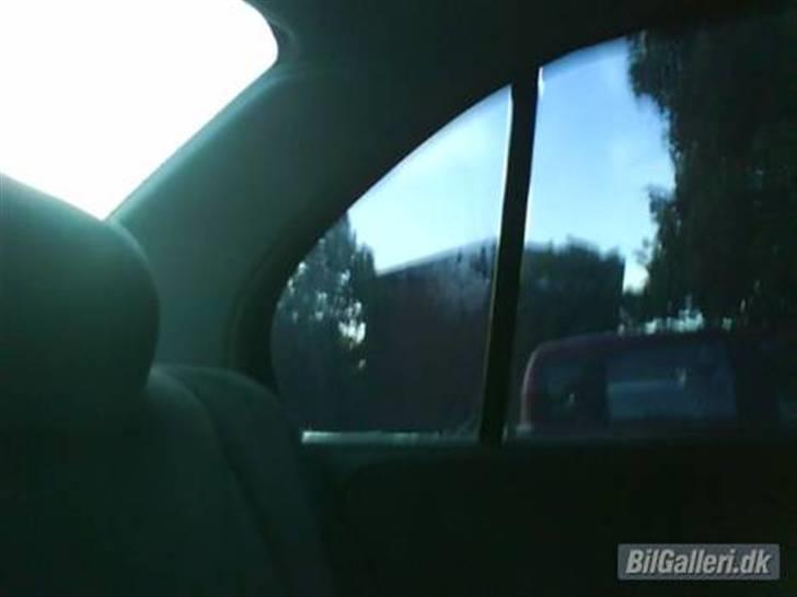 Nissan Primera #SOLGT# - Toningen billede 8