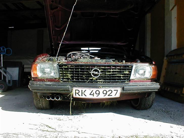 Opel Ascona B 2,0 - mejetærskern den gamle billede 20