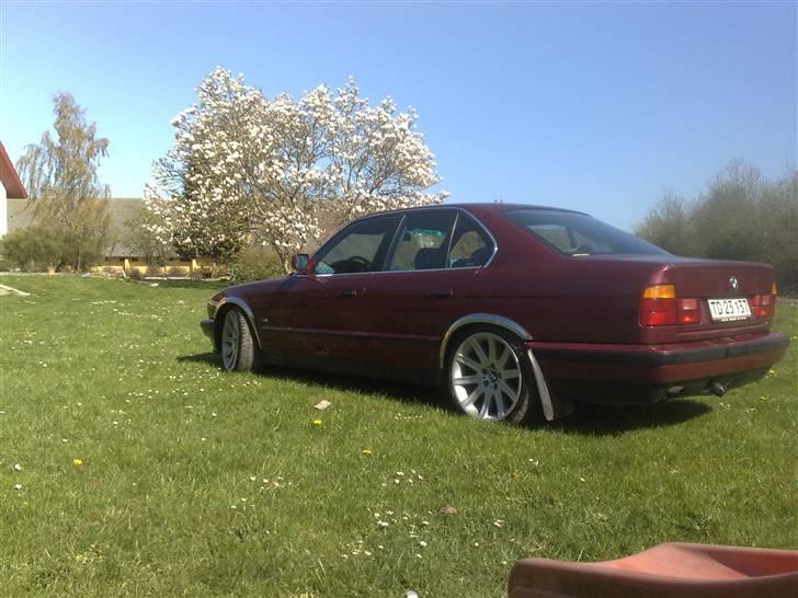 BMW 520 i 24v billede 19