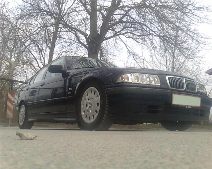 BMW 318i E36 (Solgt) - 31/1-09 - Down under the front. billede 13