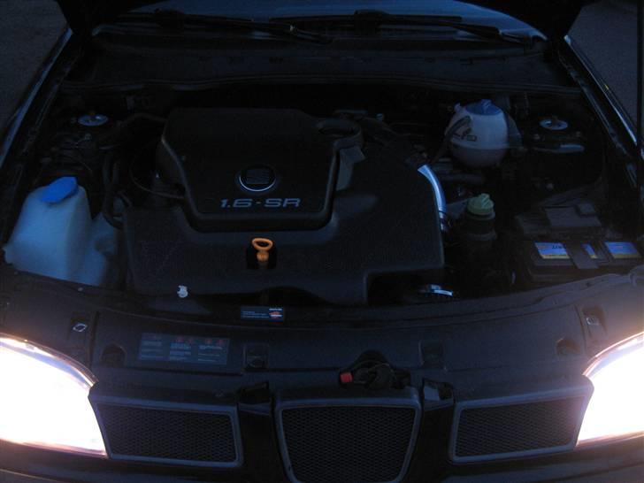 Seat cordoba Coupe  billede 11