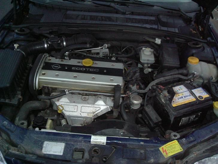 Opel Vectra-B ( Solgt ) billede 8