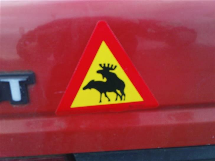 Peugeot 405  glx billede 12