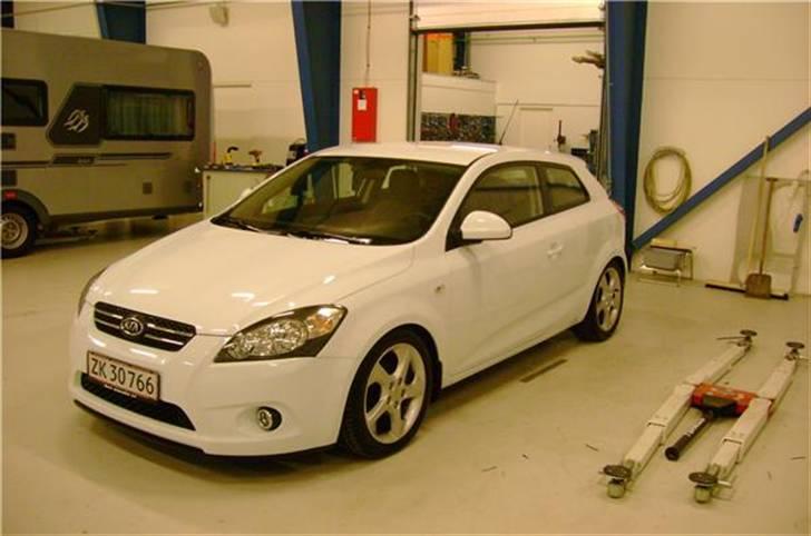 Kia Pro´Ceed Sport 1,6 CRDI   billede 1