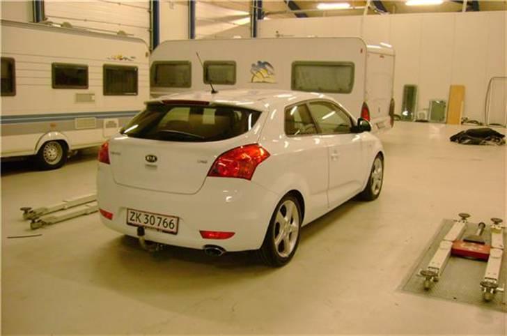 Kia Pro´Ceed Sport 1,6 CRDI   billede 4