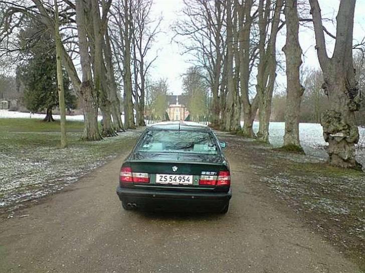 BMW 525i Aut. SOLGT 02.12.09 billede 3