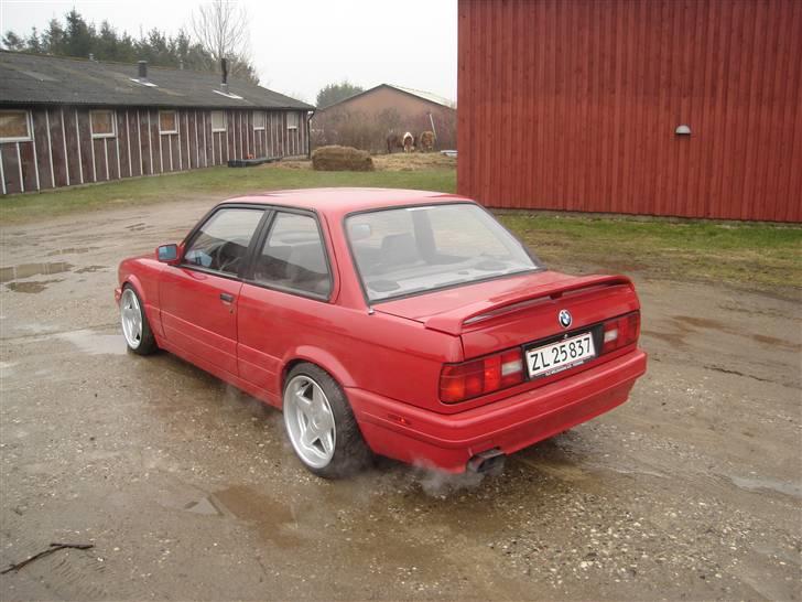 BMW 325 i Mtec II (soglt) billede 4