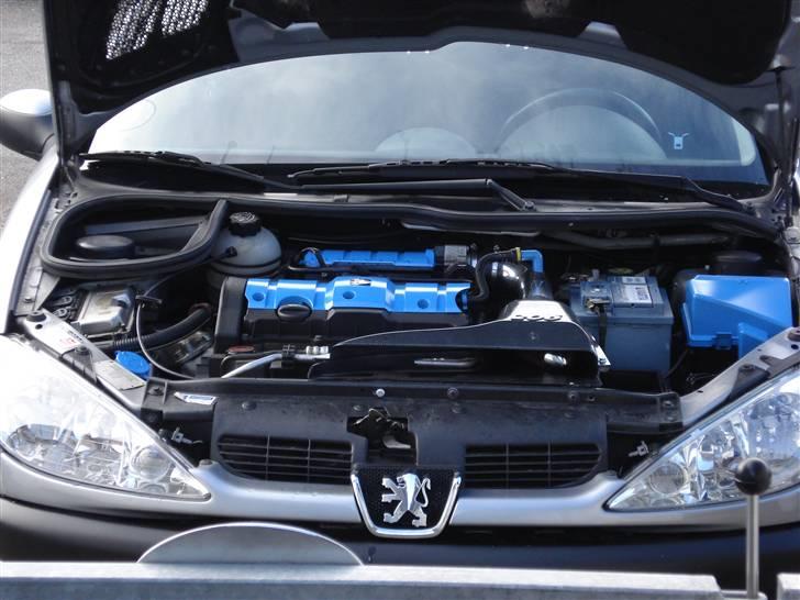 Peugeot 206 s16 - Vinter 09 billede 13