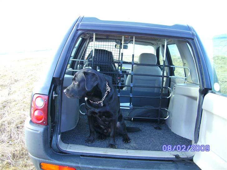 Land Rover freelander billede 12