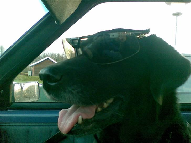 Ford Escort  billede 1