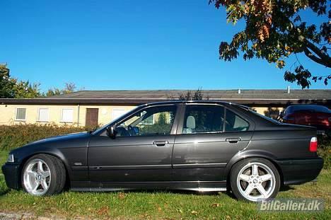 BMW 320i SOLGT billede 2