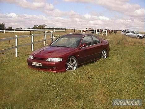 Honda  Accord 2,2 2d. ES Coupé billede 1