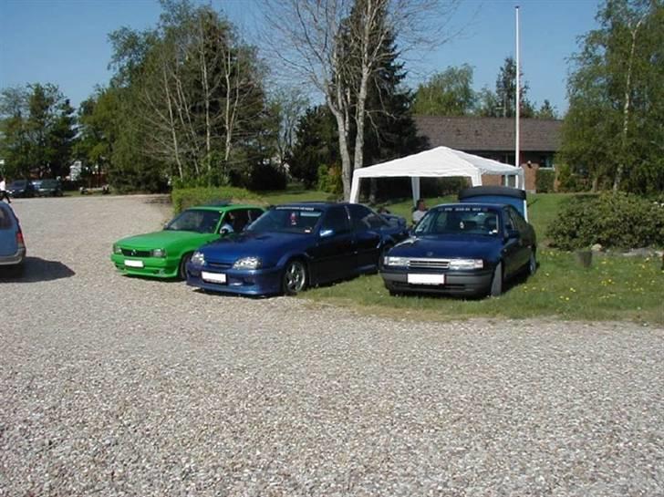 Opel omega lotus kit bytte billede 6