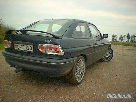 Ford  Escort (død) billede 3