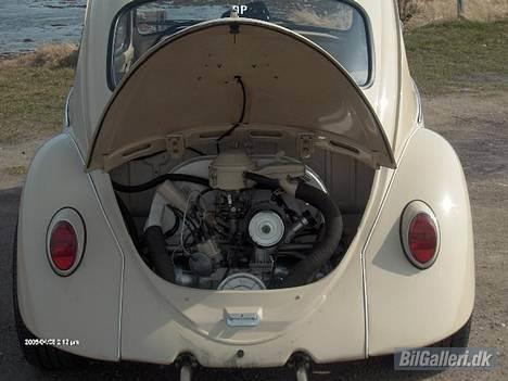 VW 1200  billede 6