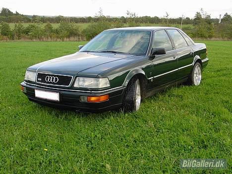 Audi V8 4.2 Quattro Exclusiv billede 1