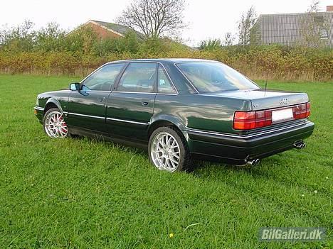 Audi V8 4.2 Quattro Exclusiv billede 4