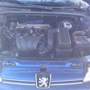 Peugeot 406 - SOLGT