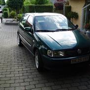 VW Polo 6n 8v