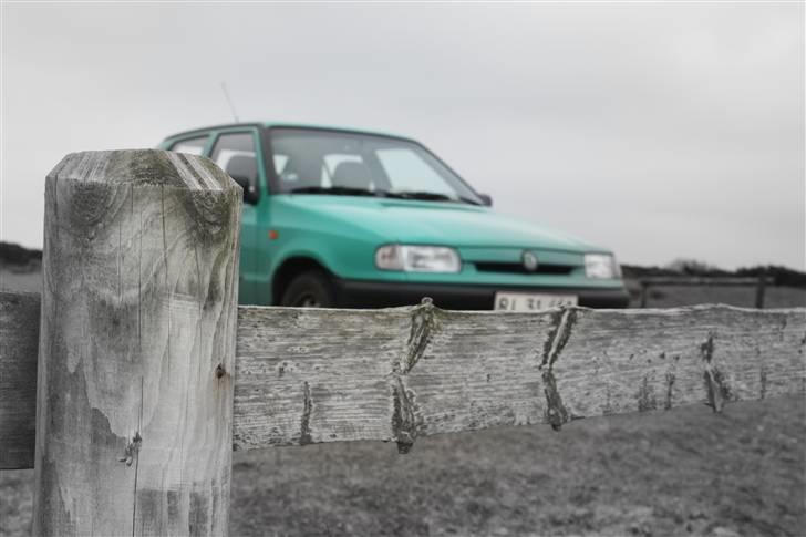 Skoda Felicia  - 10-02-09. På stranden. billede 5