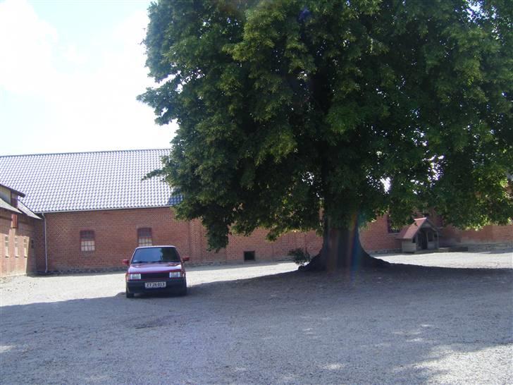 VW Polo coupé  "Betty" billede 11