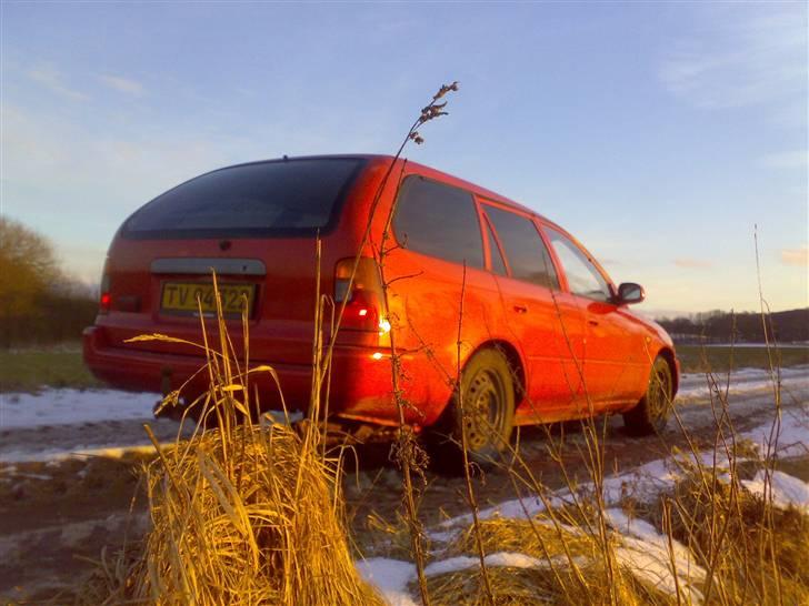 Toyota Corolla E101 Van billede 6