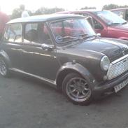 Mini 1000 