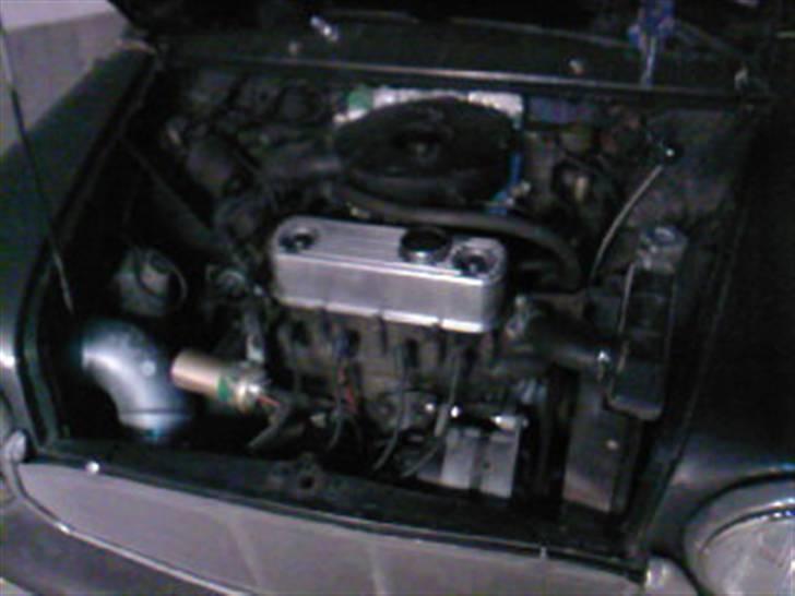 Mini 1000  billede 6