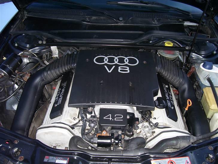 Audi S6 Avant Quattro - Her ligger de 290 tyske fuldblods heste gemt. billede 14